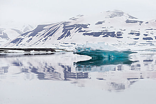 挪威,斯瓦尔巴特群岛,冰,反射