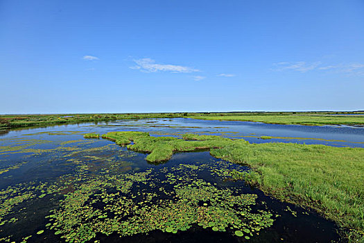 中国最美湿地,千鸟湖湿地