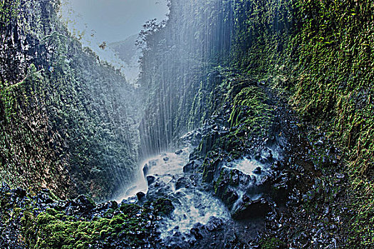 瀑布,树林,夏威夷大岛,夏威夷,美国