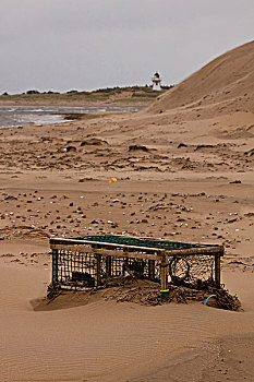 捕虾器,困住,吹,沙子,爱德华王子岛,国家公园,北岸,加拿大