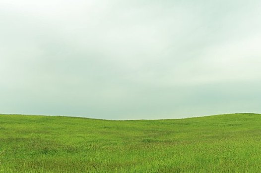 山,草丛,阴天