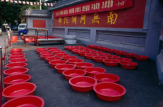 北京什刹海后海广化寺前放生的红盆