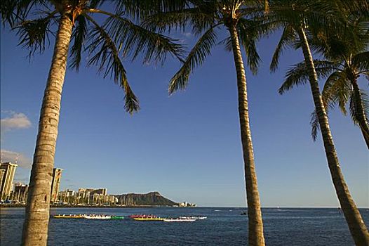 夏威夷,瓦胡岛,钻石海岬,怀基基海滩,舷外支架,独木舟,比赛,棕榈树