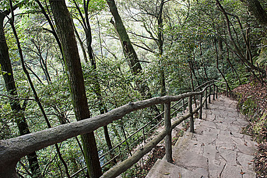 中国第一富硒村-安徽省石台县仙寓山大山村