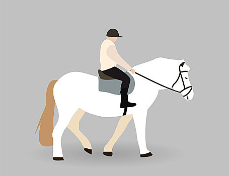 骑乘,白色背景,马,矢量,插画