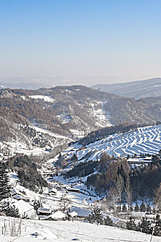 雪地,树林,村庄,雪村