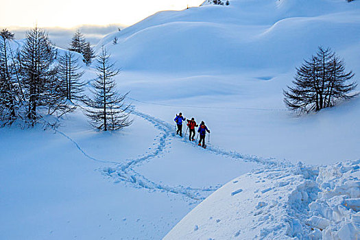 远足,雪鞋,初雪,恩格达恩,瑞士,欧洲