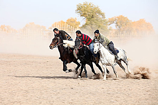 巴楚,新疆,风情,风俗,维吾尔族,青年,叼羊,赛马,骑马,激烈,高速