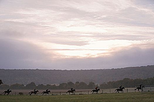人群,马,骑,地点,黎明,天空,早晨,训练,赛马
