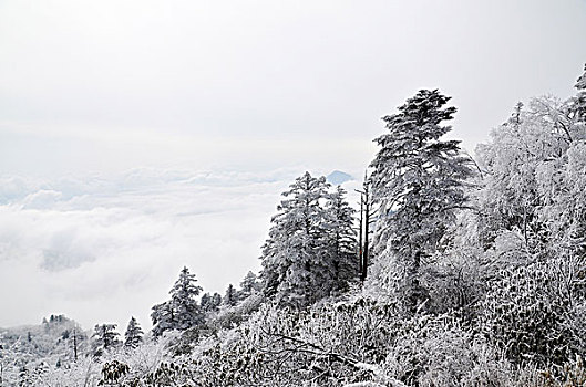 成都西岭雪山美丽雪景