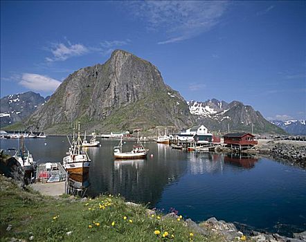 渔船,罗浮敦群岛,挪威