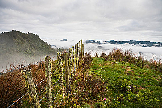 风景,山,上方,晨雾,蓝色,住宿,国家公园,新西兰