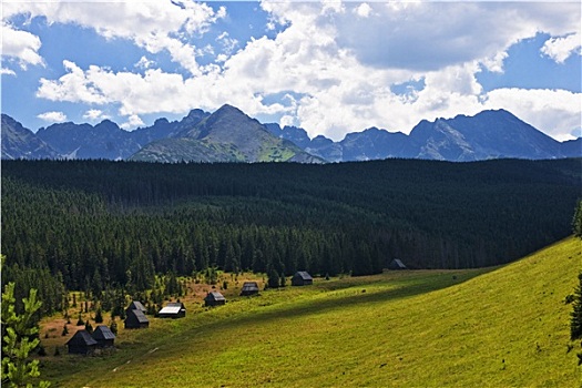 全景,波兰,山