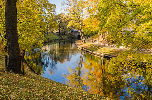 漂亮,秋天,公园,水道,里加