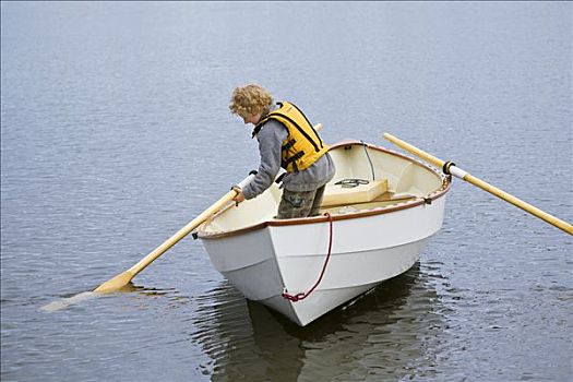 男孩,桨,小,小船,泛舟,鹅,湖,阿拉斯加,夏天