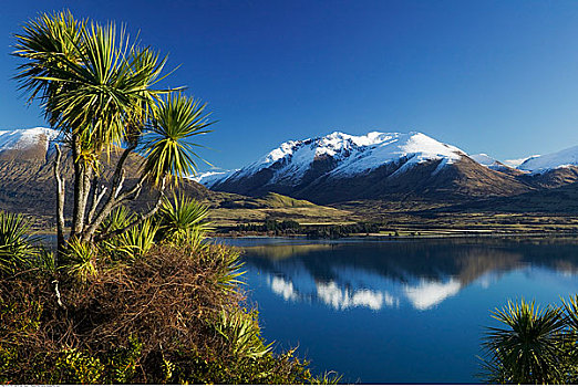 山,上方,瓦卡蒂普湖,皇后镇,南岛,新西兰