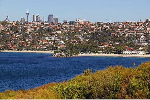 俯视,港口,悉尼港,国家公园