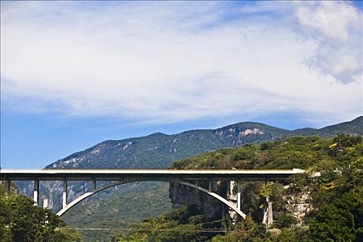 拱桥,树林,峡谷,恰帕斯,墨西哥