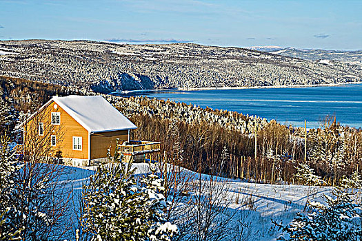 积雪,家,树,远眺,劳伦斯河,暴风雪,景色,夏洛瓦,魁北克,加拿大