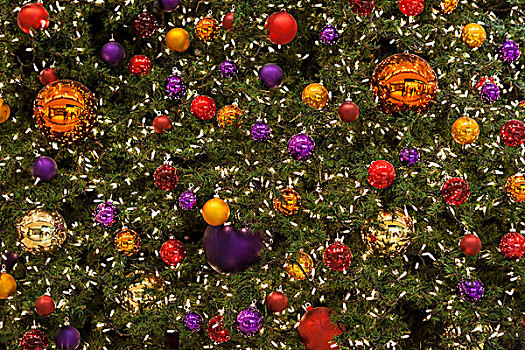 彩色,圣诞节饰物,彩灯,圣诞树