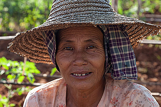 女人,特色,帽子,头像,茵莱湖,掸邦,缅甸,亚洲