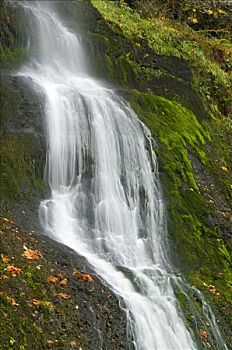 瀑布,树林,冬天,银色瀑布州立公园,俄勒冈,美国