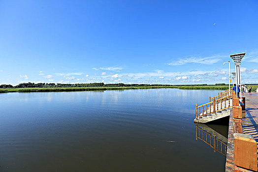 雁窝岛湿地