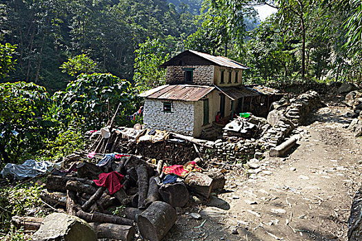 房子,山坡,安娜普纳保护区,喜马拉雅山,尼泊尔