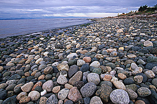河,石头,海滩,靠近,法国,溪流,温哥华岛,不列颠哥伦比亚省,加拿大