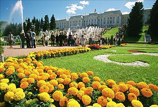 游客,花园,宫殿,彼得斯堡,俄罗斯