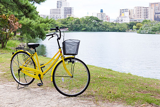 自行车,城市,公园