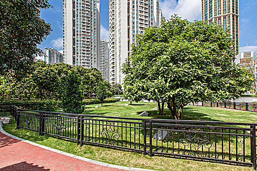 公园景观和现代城市建筑