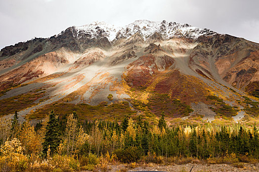 秋色,积雪,顶峰,阿拉斯加山脉,秋天,秋季