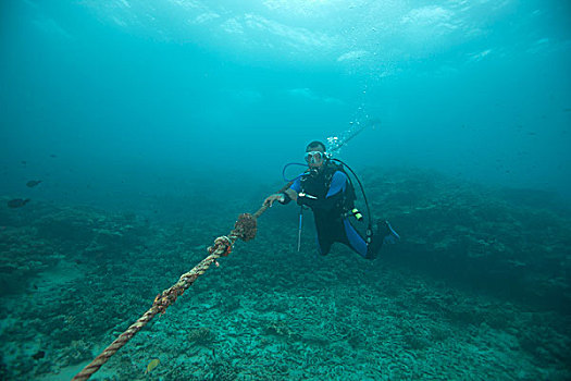 潜水,锚,线条,场所,斐济