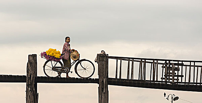 缅甸,曼德勒,女人,走,自行车,乌本桥