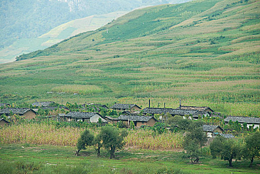 中朝边界鸭绿江对岸朝鲜风光