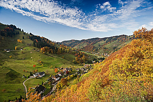 秋天,南方,黑森林,巴登符腾堡,德国,欧洲