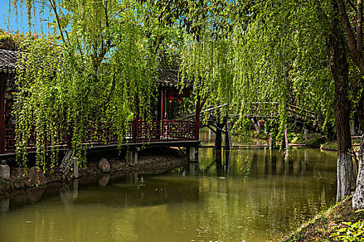 苏州定园园林小桥水榭