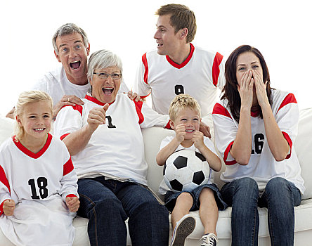 家庭,看,足球赛,电视