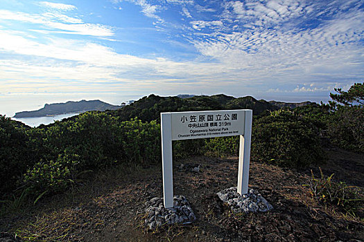 西部,方向,山,顶峰