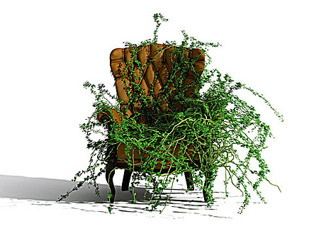 绿色植物,扶手椅