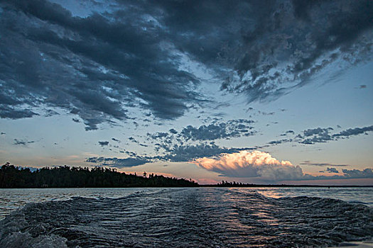 湖,黄昏,木头,安大略省,加拿大