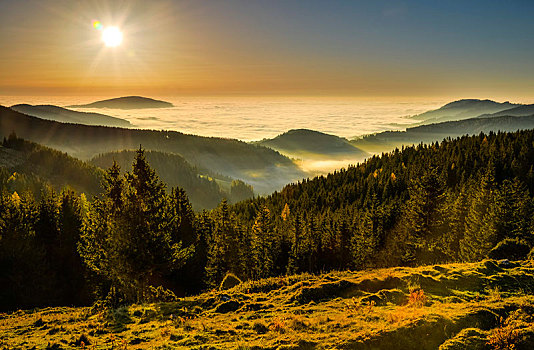 日出,雾,秋天,高山牧场,奥地利,欧洲
