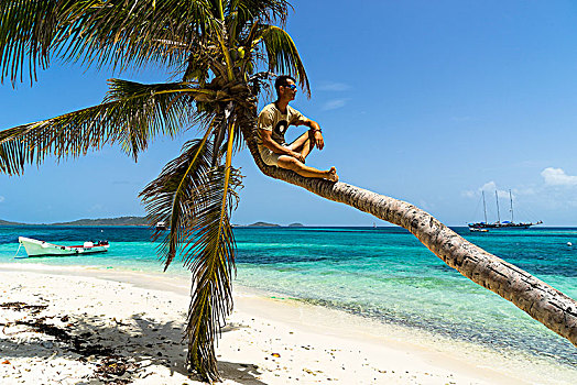 一个,男人,坐,椰树,自然保护区,多巴哥岛,圣文森,格林纳丁斯群岛,西印度群岛