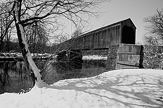 正面,桥,冬天,州立公园,宾夕法尼亚,美国