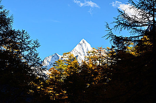 夏诺多吉雪山