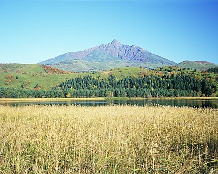 水塘,山