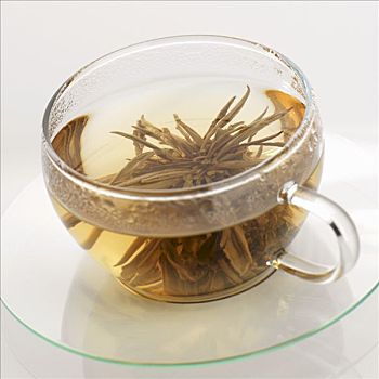 茶,银莲花,玻璃杯