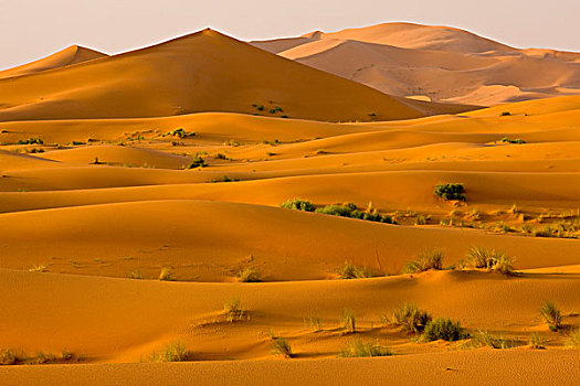 风景,沙漠,沙子,沙丘,湿,冬天,高,靠近,梅如卡,撒哈拉沙漠,摩洛哥,非洲