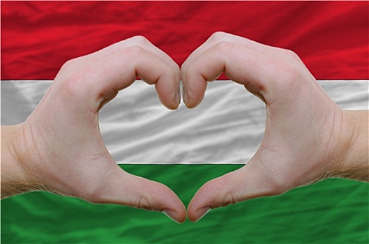 心形,喜爱,手势,展示,上方,旗帜,匈牙利,背影